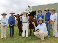 New Shorthorn Stud for Yanco Agricultural High School